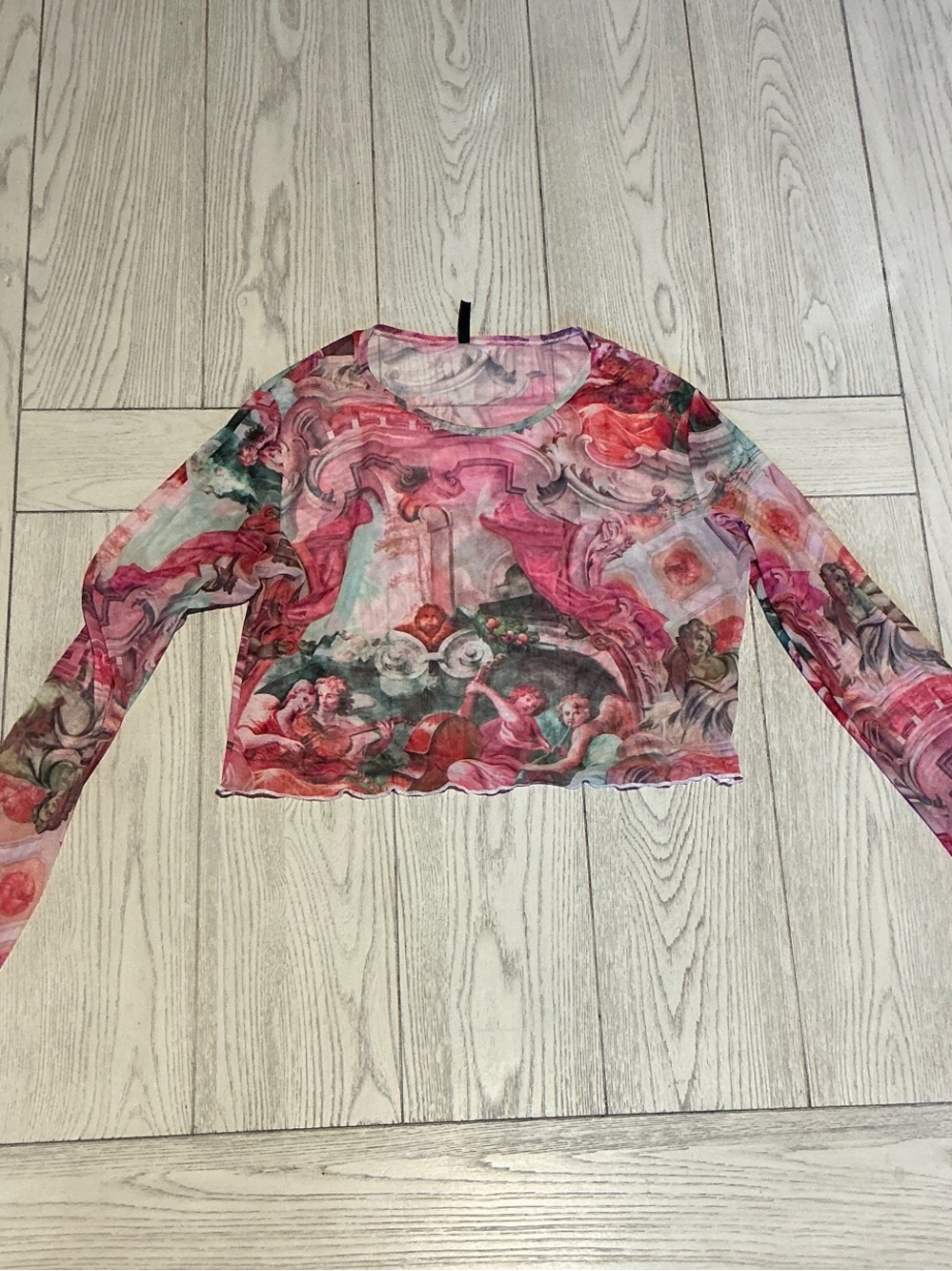 Printed Sheer Long-Sleeve Crop Top in Pink Renaissance Motif